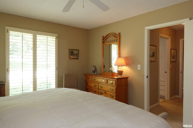 19 Hiawatha Ln, Galesburg, IL 61401 - photo 42