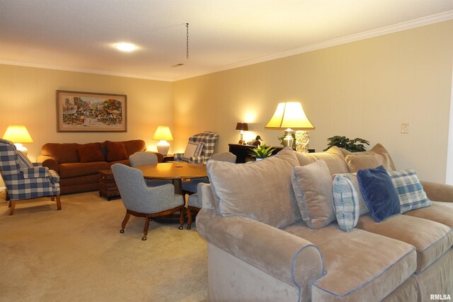 19 Hiawatha Ln, Galesburg, IL 61401 - photo 49