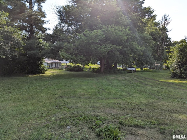525 N Memorial St, Pittsfield, IL 62363 - view of green lawn