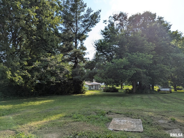 525 N Memorial St, Pittsfield, IL 62363 - view of grassy yard