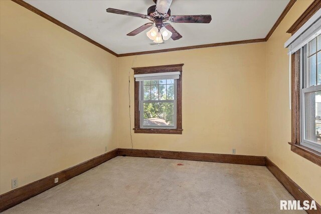 215 E Market St, Taylorville, IL 62568 - photo 26