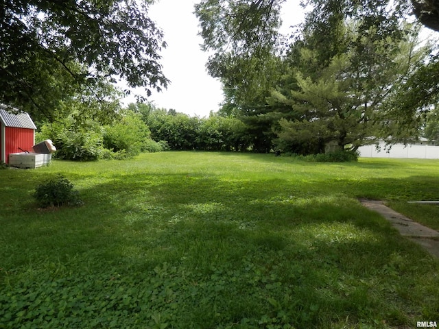 279 W 2nd Ave, Woodhull, IL 61490 - photo 4