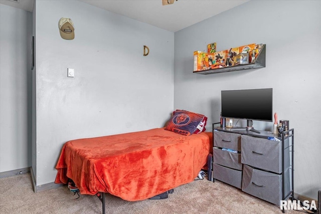 19581 Finney Rd, Girard, IL 62640 - view of carpeted bedroom