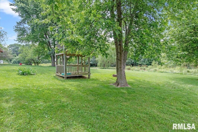 19581 Finney Rd, Girard, IL 62640 - view of green lawn