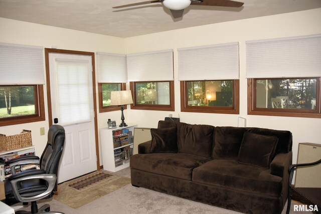 3227 Clarendon Dr, Springfield, IL 62704 - photo 11