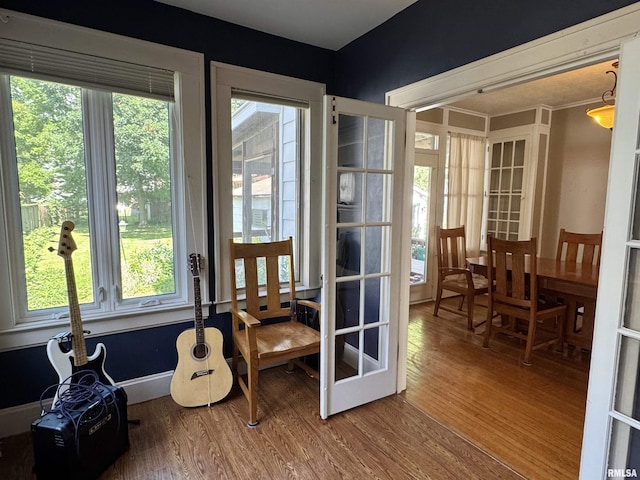 814 N Prairie St, Galesburg, IL 61401 - doorway featuring wood finished floors, healthy amount of natural light, and french doors