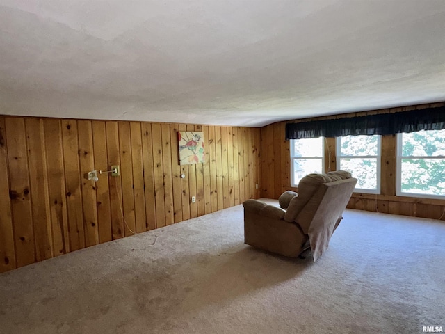 814 N Prairie St, Galesburg, IL 61401 - carpeted living area featuring wooden walls