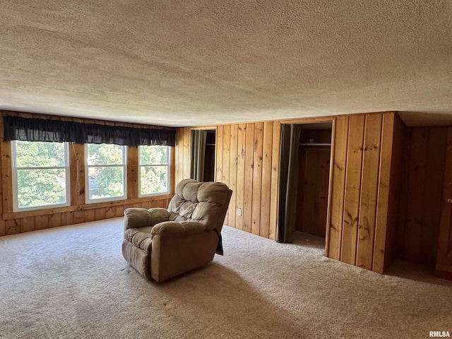 814 N Prairie St, Galesburg, IL 61401 - sitting room featuring a textured ceiling, carpet floors, and wood walls