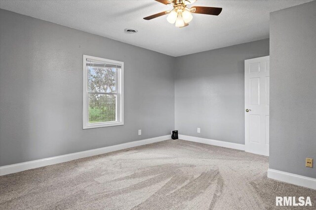 7250 Telstar Rd, Riverton, IL 62561 - photo 36