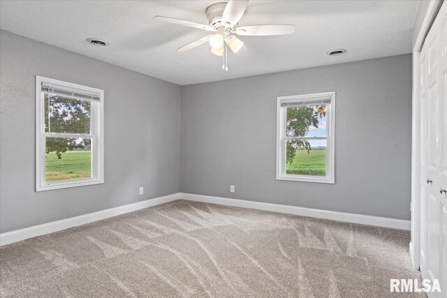 7250 Telstar Rd, Riverton, IL 62561 - photo 37