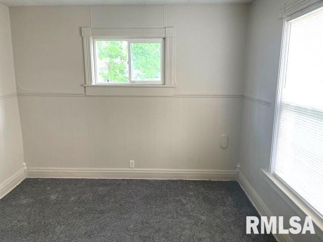 929 W Governor St, Springfield, IL 62702 - photo 10