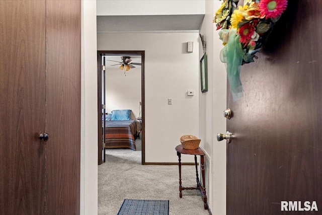 102 W Scarritt St, Springfield, IL 62704 - hall with carpet floors