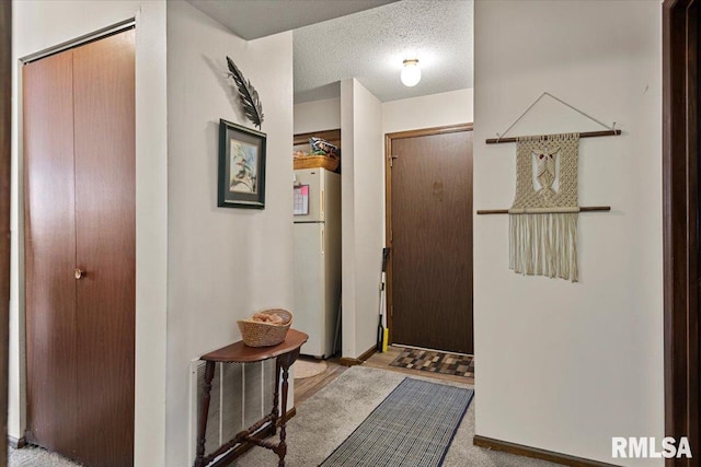102 W Scarritt St, Springfield, IL 62704 - foyer featuring a textured ceiling and carpet flooring