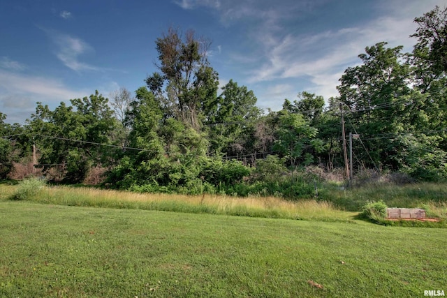 461 Oak St, Hamilton, IL 62341 - view of green lawn