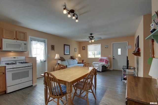 461 Oak St, Hamilton, IL 62341 - dining room with wood finished floors and ceiling fan