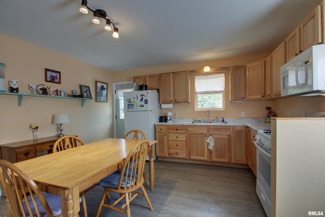 461 Oak St, Hamilton, IL 62341 - kitchen featuring white appliances, light countertops, wood finished floors, and light brown cabinetry