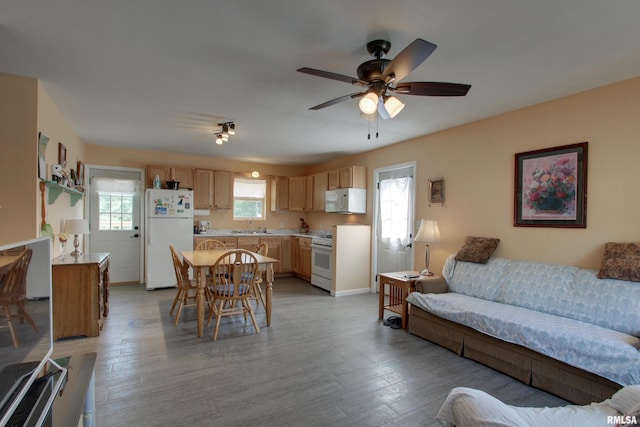 461 Oak St, Hamilton, IL 62341 - living room featuring light wood-style flooring and ceiling fan