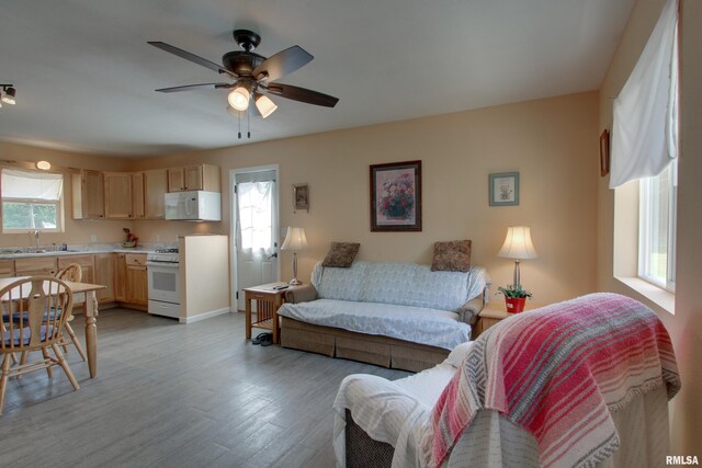 461 Oak St, Hamilton, IL 62341 - living room with light wood finished floors and ceiling fan