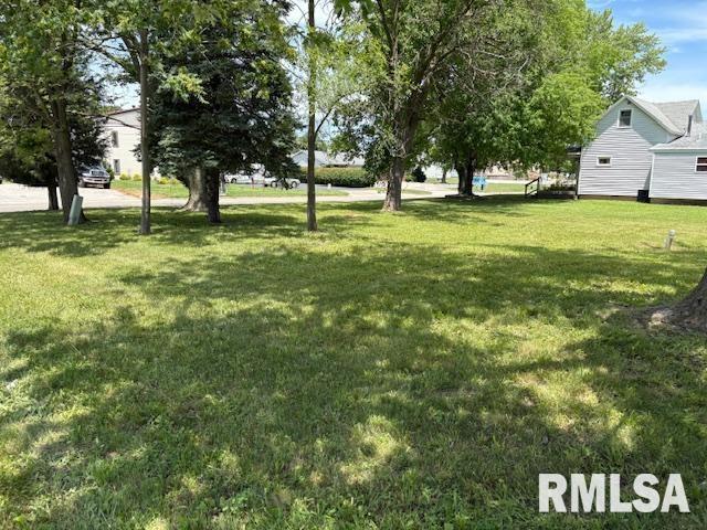 1402 N Kickapoo St, Lincoln, IL 62656 - photo 1