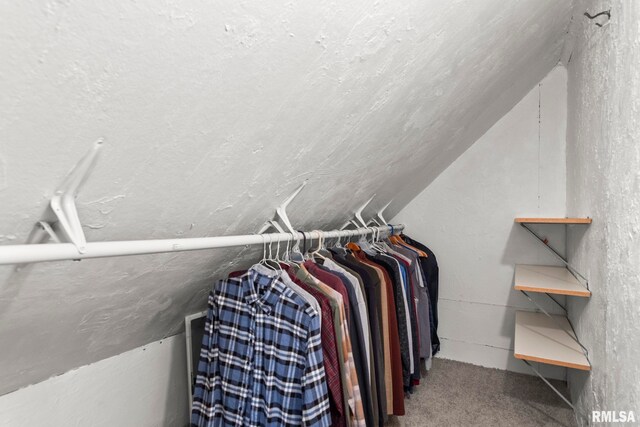 1935 S Douglas Ave, Springfield, IL 62704 - spacious closet with lofted ceiling and carpet