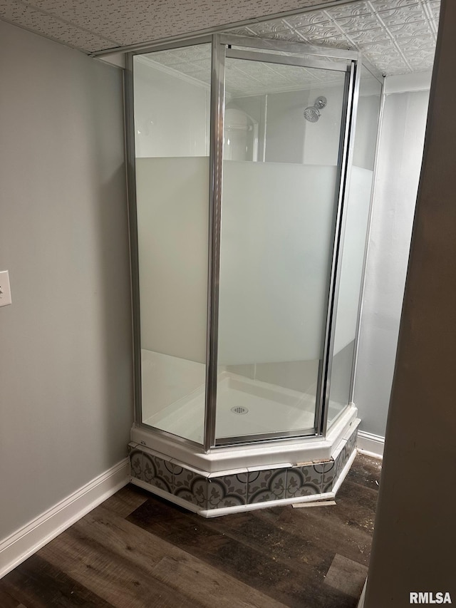 1249 W Urban Ave, Springfield, IL 32704 - bathroom featuring wood finished floors and a shower stall