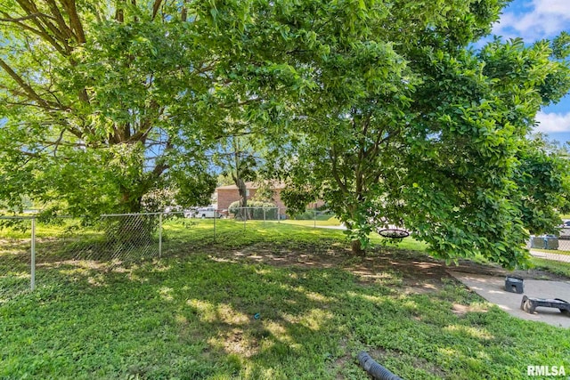519 Herndon St, Springfield, IL 62702 - photo 4