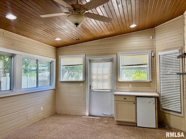 3205 Ashley Ln, Springfield, IL 62711 - kitchen featuring healthy amount of natural light, wood walls, wooden ceiling, light carpet, and light countertops