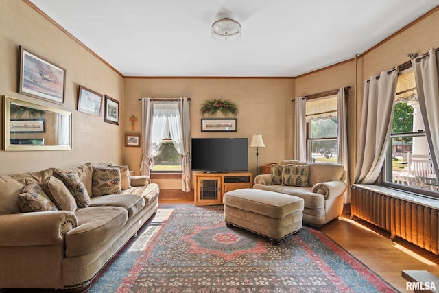 116 E Main St, Williamsville, IL 62693 - photo 11