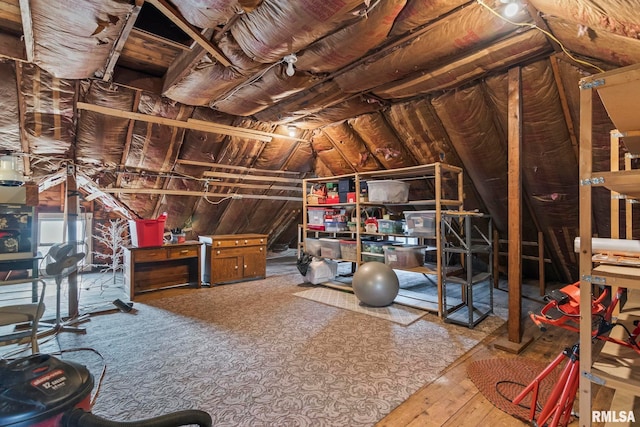 116 E Main St, Williamsville, IL 62693 - photo 40