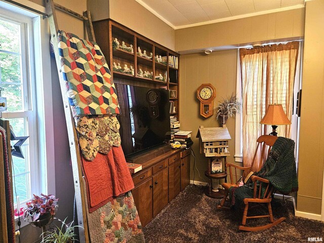 1720 230th Ave, Galesburg, IL 61401 - photo 26