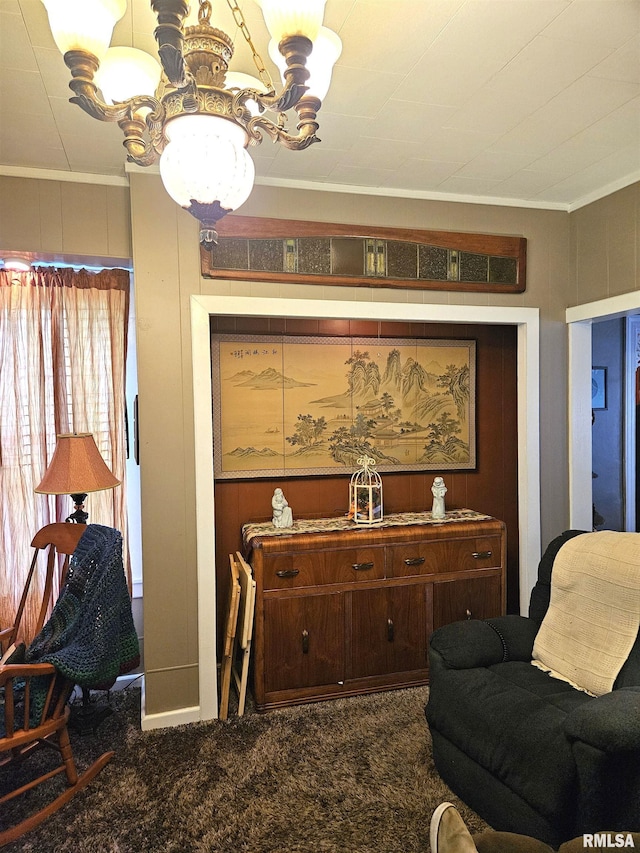 1720 230th Ave, Galesburg, IL 61401 - photo 27
