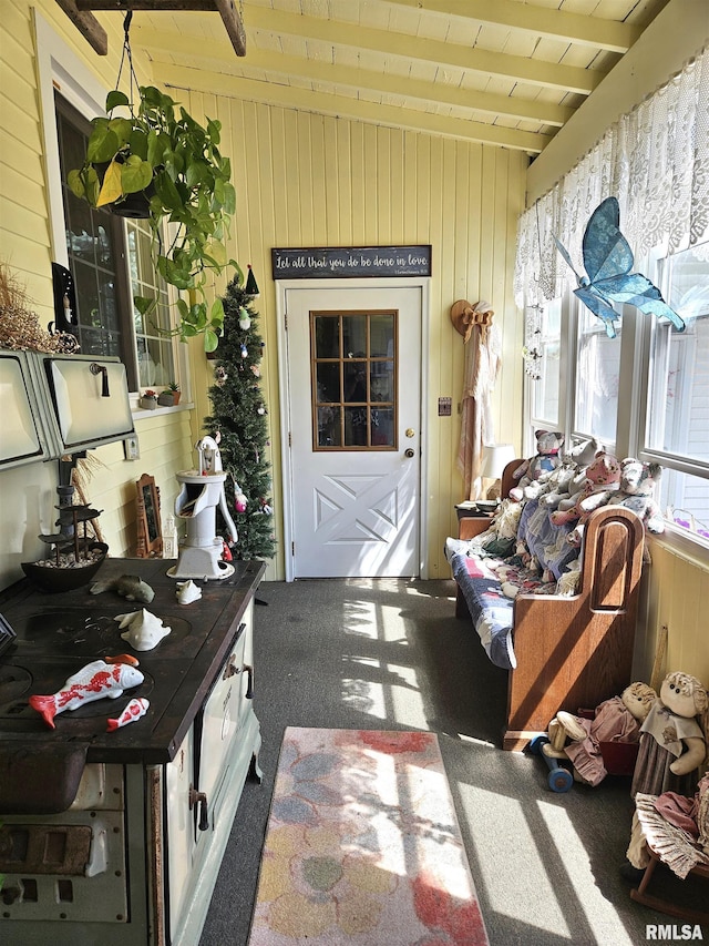 1720 230th Ave, Galesburg, IL 61401 - photo 56