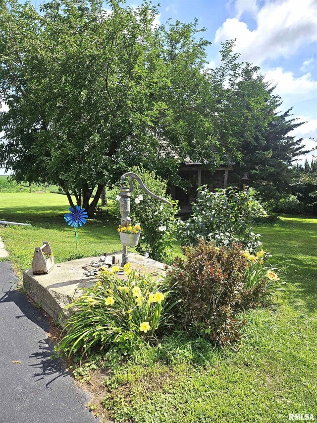 1720 230th Ave, Galesburg, IL 61401 - photo 82