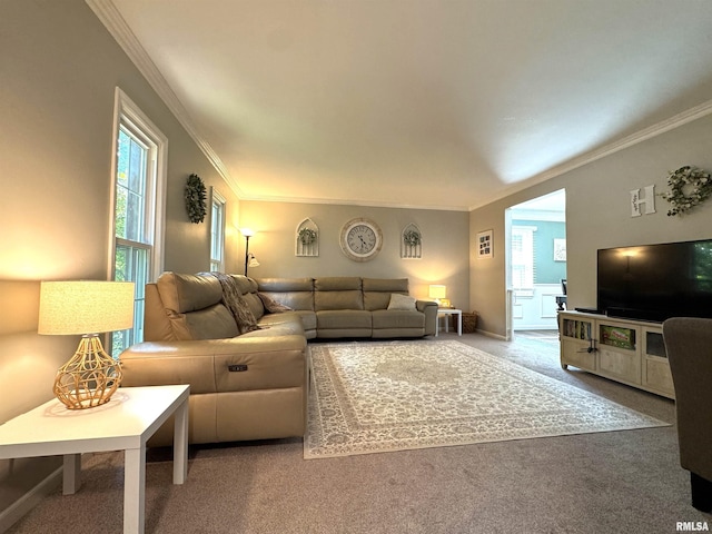 125 Pinehurst Dr, Springfield, IL 62704 - carpeted living area with crown molding