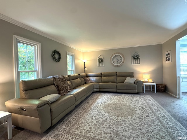 125 Pinehurst Dr, Springfield, IL 62704 - living area featuring carpet flooring and crown molding