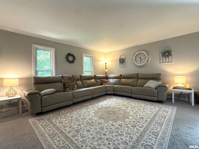 125 Pinehurst Dr, Springfield, IL 62704 - carpeted living area with plenty of natural light and ornamental molding