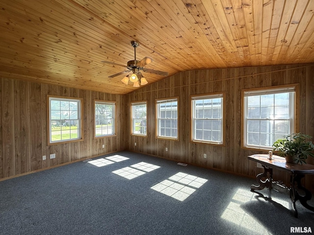 903 N Fearing Ave, Abingdon, IL 61410 - unfurnished room featuring wood ceiling, healthy amount of natural light, wooden walls, ceiling fan, and carpet flooring
