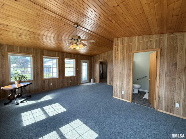 903 N Fearing Ave, Abingdon, IL 61410 - carpeted empty room with wood walls, wood ceiling, ceiling fan, and lofted ceiling