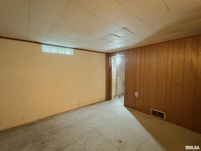 903 N Fearing Ave, Abingdon, IL 61410 - below grade area featuring carpet flooring and wood walls