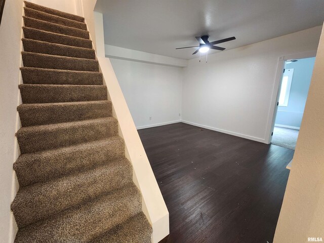 316 Swan St, Hannibal-Mo, MO 63401 - photo 13