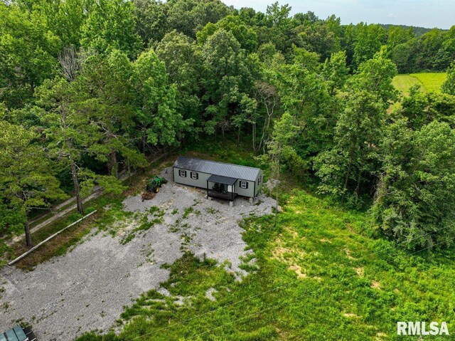 000 Grand Pierre Dr, Golconda, IL 62938 - photo 22