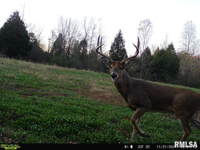 000 Grand Pierre Dr, Golconda, IL 62938 - photo 23