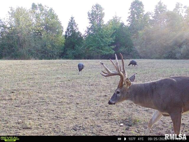 000 Grand Pierre Dr, Golconda, IL 62938 - photo 25
