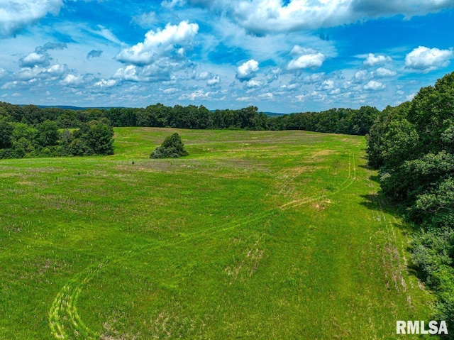 000 Grand Pierre Dr, Golconda, IL 62938 - photo 28