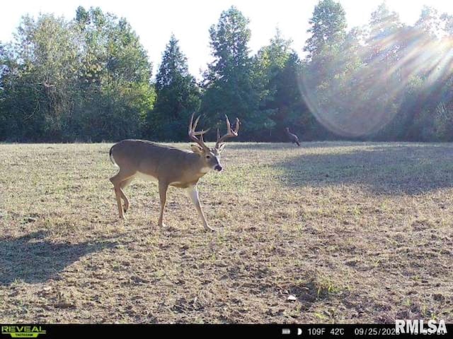 000 Grand Pierre Dr, Golconda, IL 62938 - photo 3