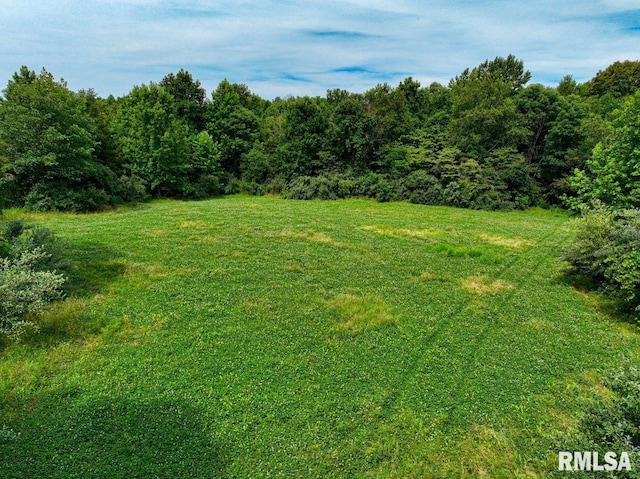 000 Grand Pierre Dr, Golconda, IL 62938 - photo 42