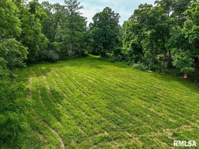 000 Grand Pierre Dr, Golconda, IL 62938 - photo 61