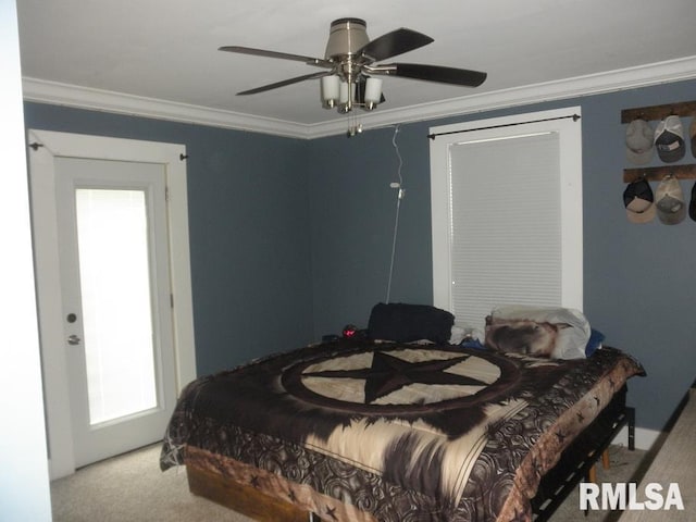 316 N Amos Ave, Springfield, IL 62702 - photo 9