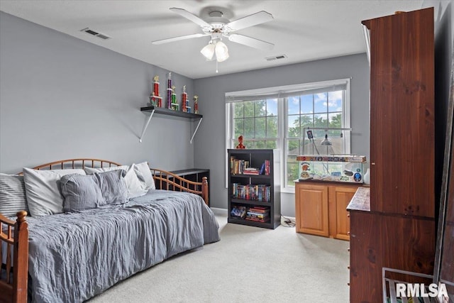 33 Woodland Trl, Rochester, IL 62563 - photo 46