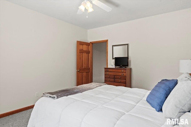 33 Woodland Trl, Rochester, IL 62563 - photo 54